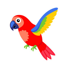 Parrot: The Colorful Birds of the Tropics