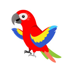 Parrot: The Colorful Birds of the Tropics
