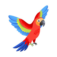Parrot: The Colorful Birds of the Tropics