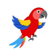 Parrot: The Colorful Birds of the Tropics