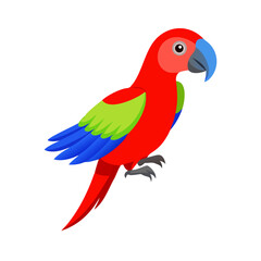 Parrot: The Colorful Birds of the Tropics