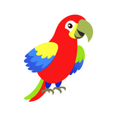 Parrot: The Colorful Birds of the Tropics