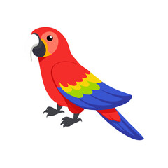 Parrot: The Colorful Birds of the Tropics