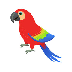 Parrot: The Colorful Birds of the Tropics