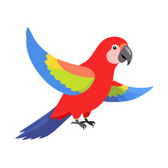 Parrot: The Colorful Birds of the Tropics