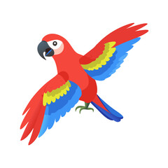 Parrot: The Colorful Birds of the Tropics