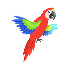 Parrot: The Colorful Birds of the Tropics