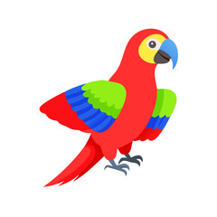 Parrot: The Colorful Birds of the Tropics