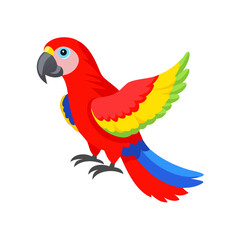 Parrot: The Colorful Birds of the Tropics