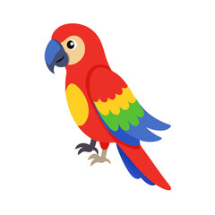 Parrot: The Colorful Birds of the Tropics