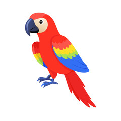 Parrot: The Colorful Birds of the Tropics
