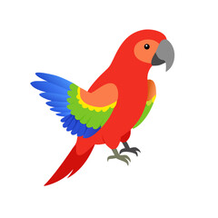 Parrot: The Colorful Birds of the Tropics