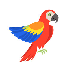Parrot: The Colorful Birds of the Tropics