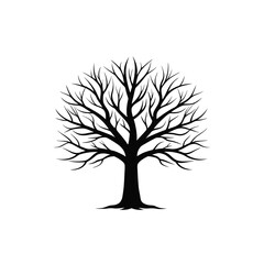 Obraz premium Bare Tree Silhouette with Intricate Branches in Minimalist Winter Design.