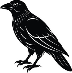 Obraz premium Black Raven Illustration Clipart - Gothic Crow Silhouette Vector Art