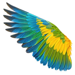 Fototapeta premium Colorful bird wing png feather detail png exotic wing png white background image