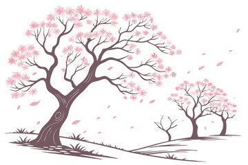 Fototapeta premium 10 Cherry blossom trees, pink sakura flowers, spring bloom, delicate petals, botanical illustration, watercolor style, soft pastel colors, various tree shapes and sizes, white background, vector graph