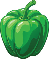 Green Bell Pepper Fresh Organic Vegetable Isolated White Background.
