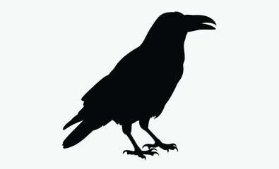 Raven silhouette, bird vector, black illustration