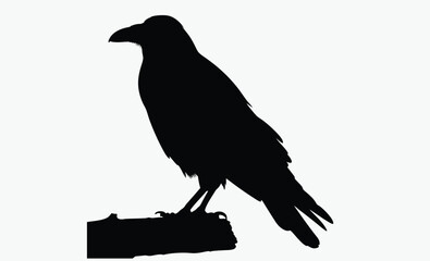 Raven silhouette, bird vector, black illustration