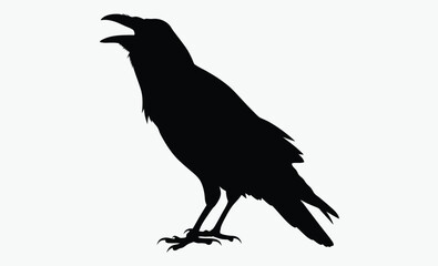 Raven silhouette, bird vector, black illustration