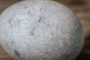 Macro shot of a pale, slightly mottled eggshell with subtle pink and green spots. The texture of the shell is clearly visible with soft lighting and natural tones.