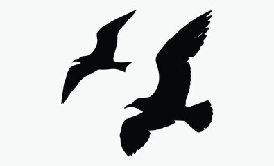 Seagull flying silhouette, bird vector, isolated design, Seagull flying silhouette isolated on white background, Vector illustration 