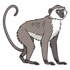 Fototapeta premium Cartoon Monkey Illustration Cute Primate Mammal Wildlife Isolated Digital Art Character