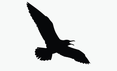 Seagull flying silhouette, bird vector, isolated design, Seagull flying silhouette isolated on white background, Vector illustration 
