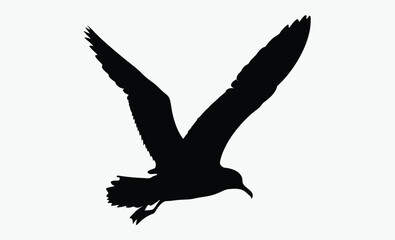 Seagull flying silhouette, bird vector, isolated design, Seagull flying silhouette isolated on white background, Vector illustration 