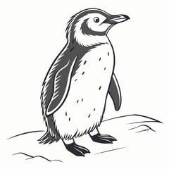 Vector Illustration Of A Penguin Standing Isolated On White Background In Grayscale