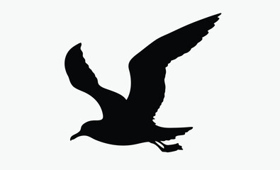 Seagull flying silhouette, bird vector, isolated design, Seagull flying silhouette isolated on white background, Vector illustration 