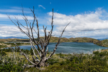 Impressive mountain view on a hike from Refugio Frances to Paine Grande in Torres Del Paine...