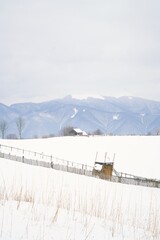 Obraz premium Winter Carpathian mountain landscape