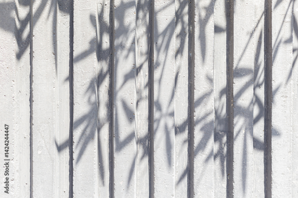 Poster white wall with leaves shadows and sunlight empty background. empty wall. white wall background. min