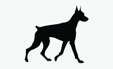 Doberman dog silhouette, Doberman dog isolated realistic vector illustration black silhouette