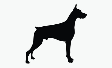 Doberman dog silhouette, Doberman dog isolated realistic vector illustration black silhouette