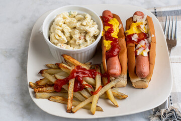 two hot dogs with macaroni salad  and  fries
