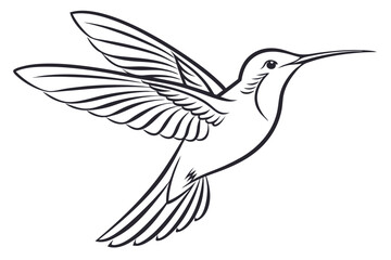 Obraz premium Elegant Hummingbird Illustration Black And White Line Art Vector Design