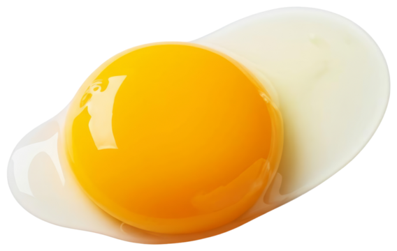 Egg yolk and white isolated, transparent background png