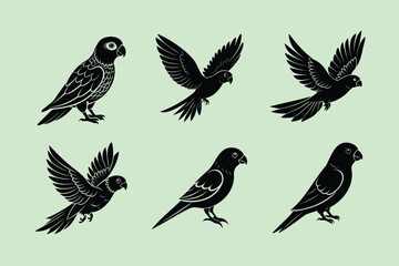 Quaker Parrot bird, silhouette vector illustration