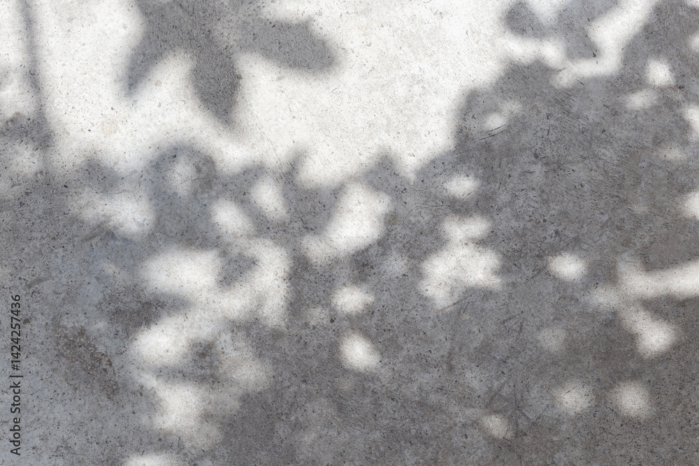 Aufkleber Empty wall surface with leaves shadows and sunlight. Cozy top view empty copy space close up concrete table surface mock up background for text and design. Wall with shadows. Abstract wall background