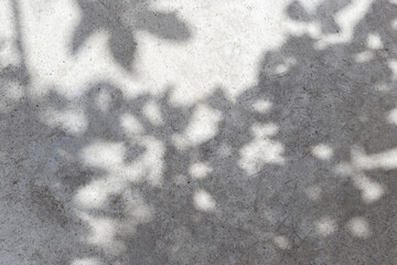 Empty wall surface with leaves shadows and sunlight. Cozy top view empty copy space close up concrete table surface mock up background for text and design. Wall with shadows. Abstract wall background