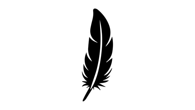 Fototapeta simple black feather shape isolated on white background