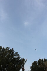 footage of the city of Al-Khobar in Corniche, and The birds, located in eastern Saudi Arabia on the Arabian Gulf