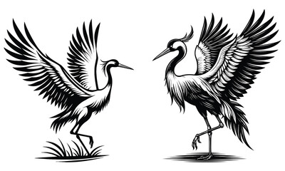 Obraz premium crane bird vector 