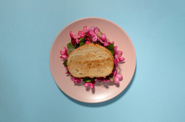 Sandwich with pink spring flowers on blue background with copy space.