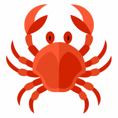 red crab on white background