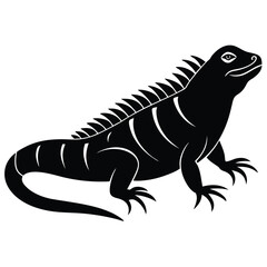 green iguana vector