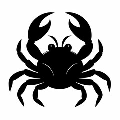 crab isolated on white background